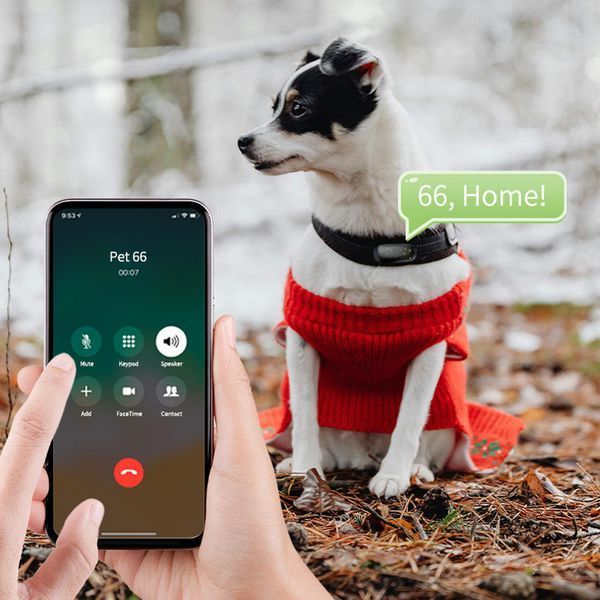 Трекер GPS для тварин V53 Pet Tracker SIM (4GLTE) 900mAh 78500 фото