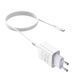 МЗП Hoco C81A Asombroso 2.1A (1USB-A) + кабель USB to Type-C 42360 фото 4