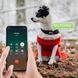 Трекер GPS для тварин V53 Pet Tracker SIM (4GLTE) 900mAh 78500 фото 4