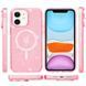 Чохол TPU Galaxy Sparkle (MagFit) для Apple iPhone 11 (6.1") 66244 фото 2