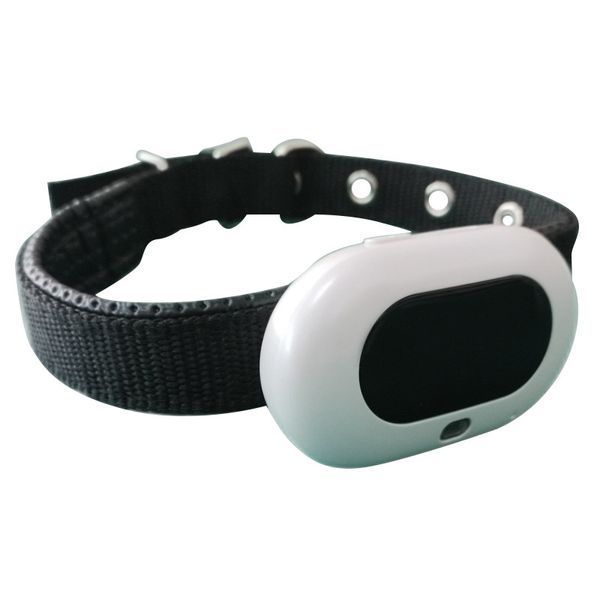 Трекер GPS для тварин V41 Pet Tracker SIM (4GLTE+3GWCDMA+2GGSM) 1300mAh 78501 фото
