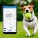 Трекер GPS для тварин V41 Pet Tracker SIM (4GLTE+3GWCDMA+2GGSM) 1300mAh 78501 фото 4