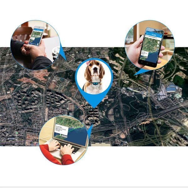 Трекер GPS для тварин V43 Pet Tracker SIM (4GLTE+3GWCDMA+2GGSM) 500mAh 78502 фото