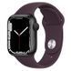 Ремінець Hoco WA01 Flexible series для Apple watch (38/40/41mm) 64508 фото 1
