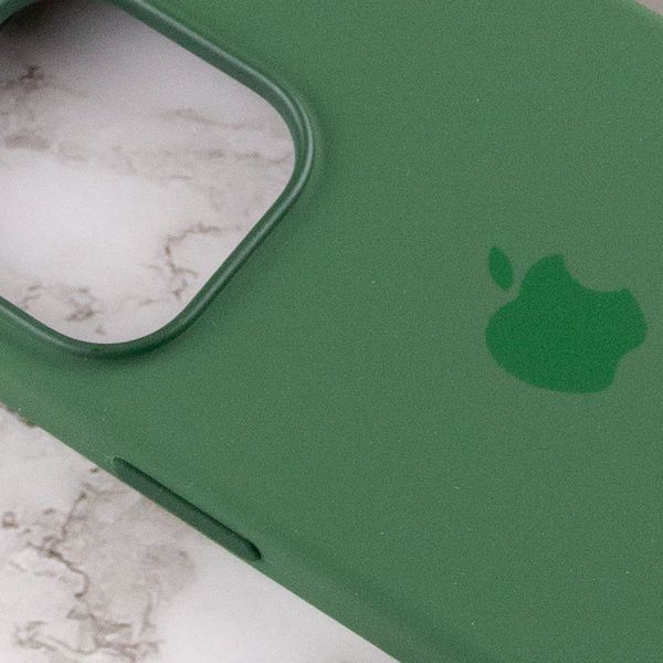 Чохол Silicone case (AAA) with Magsafe and Animation для Apple iPhone 13 Pro (6.1") 51654 фото