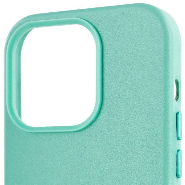 Шкіряний чохол Leather Case (AA Plus) with MagSafe для Apple iPhone 14 Pro (6.1") 57475 фото
