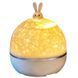 Нічник Moon E04 with Bluetooth and Remote Control 1200 mAh 65883 фото 1