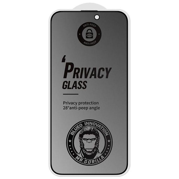 Захисне 2.5D скло Blueo Full Cover Anti-Peep Matte для Apple iPhone 16 Pro Max (6.9") 73182 фото