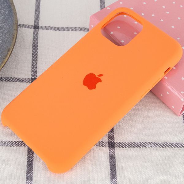 Чохол Silicone Case (AA) для Apple iPhone 11 Pro (5.8") 32272 фото
