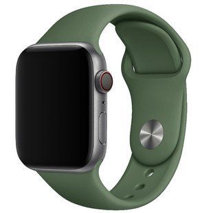 Уцінка Силіконовий ремінець для Apple Watch 38/40/41/42mm(ser.10) 62982 фото