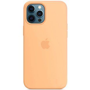Чохол Silicone case (AAA) with Magsafe для Apple iPhone 12 Pro / 12 (6.1") 42949 фото